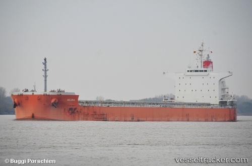 vessel Melodia IMO: 9607813, Bulk Carrier
