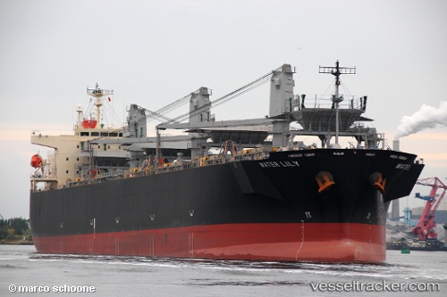 vessel Water Lily IMO: 9608221, Wood Chips Carrier
