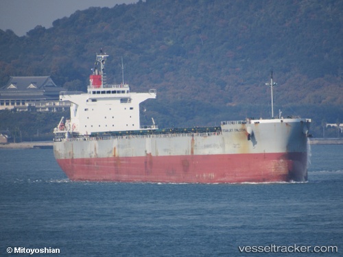 vessel Scarlet Falcon IMO: 9609433, Bulk Carrier
