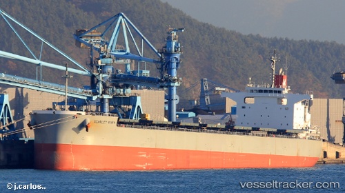 vessel Scarlet Robin IMO: 9609615, Bulk Carrier
