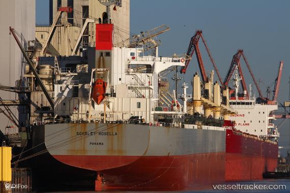 vessel Scarlet Rosella IMO: 9609627, Bulk Carrier
