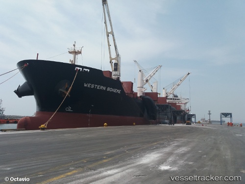 vessel Western Boheme IMO: 9609691, Bulk Carrier
