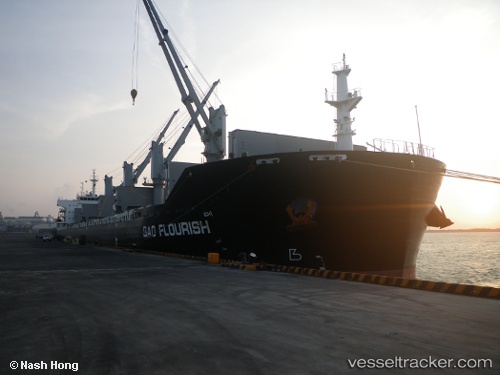 vessel Bao Flourish IMO: 9609835, Bulk Carrier
