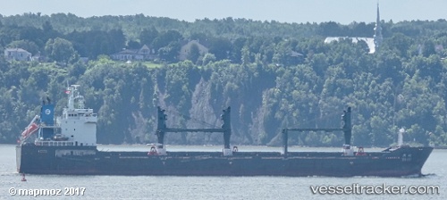 vessel Bronze Lady IMO: 9611321, Bulk Carrier
