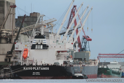 vessel DE XIN XING LONG IMO: 9612088, Bulk Carrier