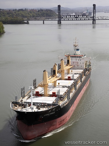 vessel SUNNY HONG IMO: 9612351, Bulk Carrier