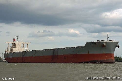 vessel Cape Lily IMO: 9612430, Bulk Carrier
