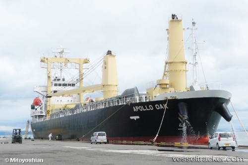 vessel Apollo Oak IMO: 9614402, General Cargo Ship
