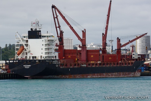 vessel Shaoshing IMO: 9614490, Container Ship
