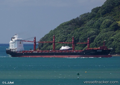 vessel Shengking IMO: 9614505, Container Ship
