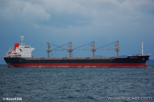vessel Dianthus IMO: 9615080, Bulk Carrier
