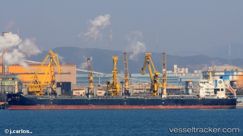 vessel Xin Yi Hai 16 IMO: 9615664, Bulk Carrier
