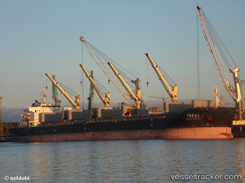 vessel Zhong Hai Chang Yun6 IMO: 9617179, Bulk Carrier
