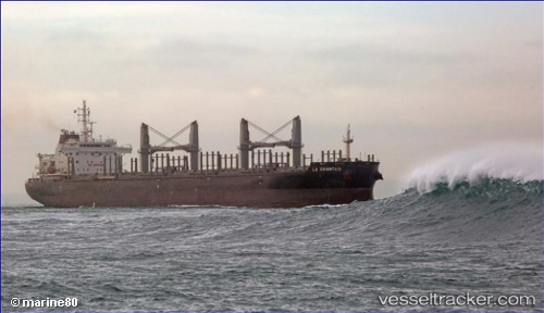 vessel AFRICAN CORMORANT IMO: 9618006, Bulk Carrier