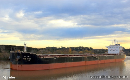 vessel DL IVY IMO: 9618678, Bulk Carrier