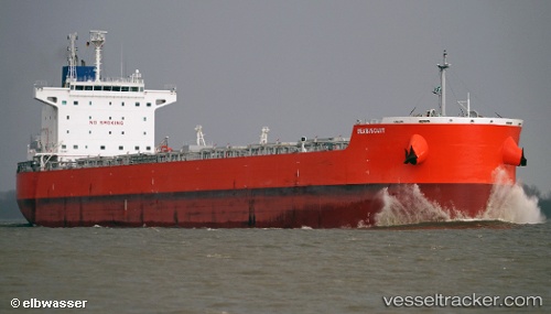 vessel Seabiscuit IMO: 9619787, Bulk Carrier
