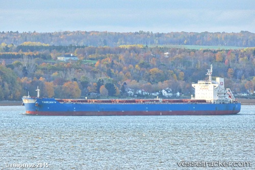 vessel Tiger South IMO: 9619854, Bulk Carrier
