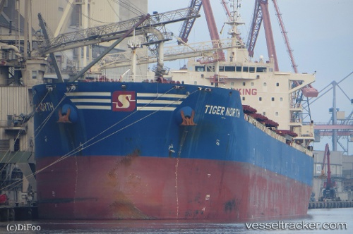 vessel Tiger North IMO: 9619878, Bulk Carrier
