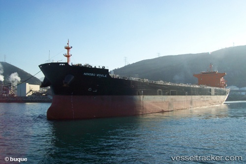 vessel White Whale IMO: 9620310, Bulk Carrier
