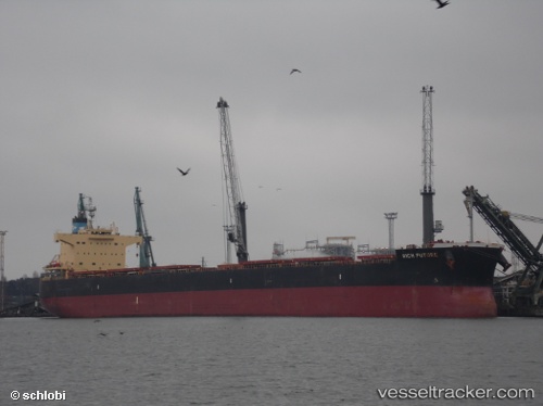 vessel BISON IMO: 9622423, Bulk Carrier