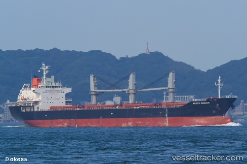 vessel Pacific Comrade IMO: 9622734, Bulk Carrier
