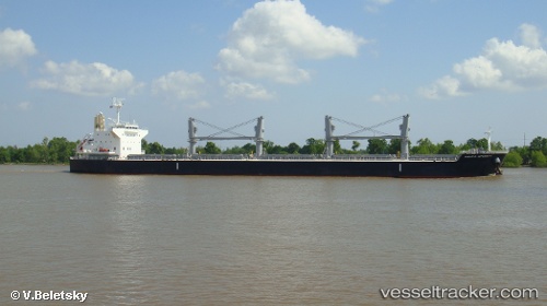 vessel Pacific Integrity IMO: 9622837, Bulk Carrier
