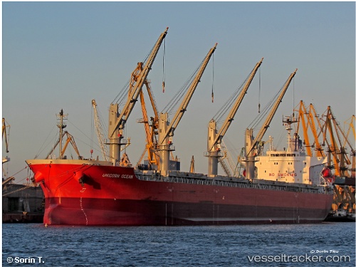 vessel Amstel Confidence IMO: 9623659, Bulk Carrier
