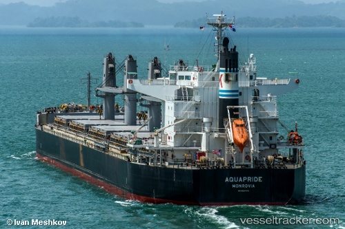 vessel El Comino IMO: 9624378, Bulk Carrier
