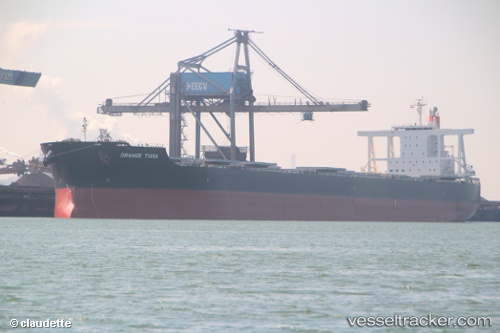 vessel Orange Tiara IMO: 9624445, Bulk Carrier
