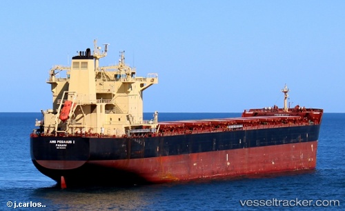 vessel Pegasos IMO: 9624653, Bulk Carrier
