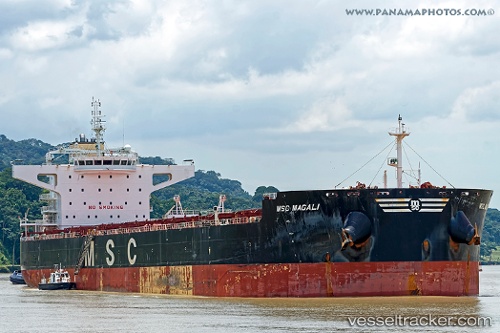 vessel Msc Magali IMO: 9625932, Bulk Carrier
