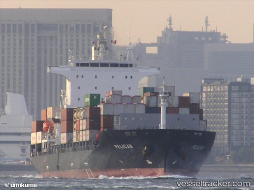 vessel Pelican IMO: 9626560, Container Ship
