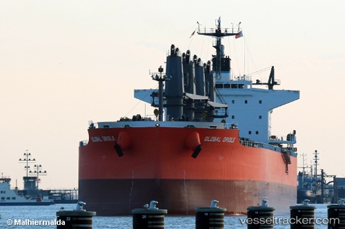 vessel Global Oriole IMO: 9626742, Bulk Carrier
