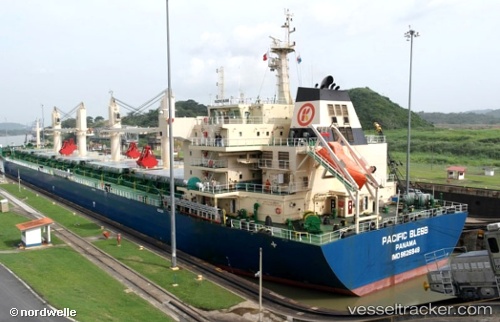 vessel JIN BI IMO: 9626948, Bulk Carrier