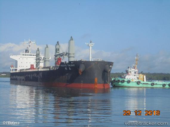 vessel RUI FU AN IMO: 9626950, Bulk Carrier