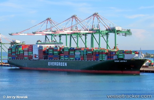 vessel Ever Lovely IMO: 9629110, Container Ship
