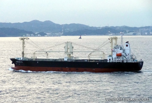 vessel Shinline 12 IMO: 9629225, General Cargo Ship
