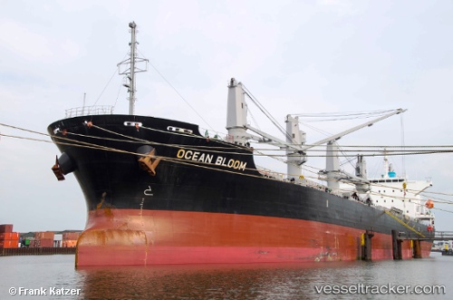 vessel Buckaroo Bowl IMO: 9633197, Bulk Carrier
