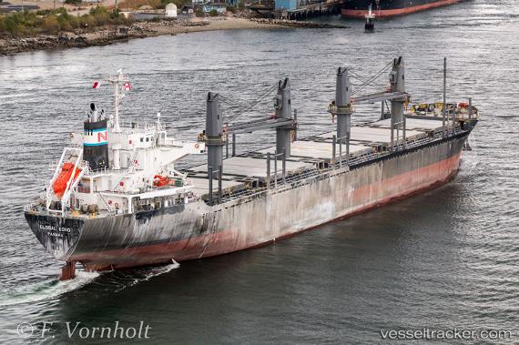 vessel Global Echo IMO: 9633288, Bulk Carrier
