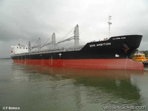 vessel Mv Rijn Confidence IMO: 9635248, Bulk Carrier
