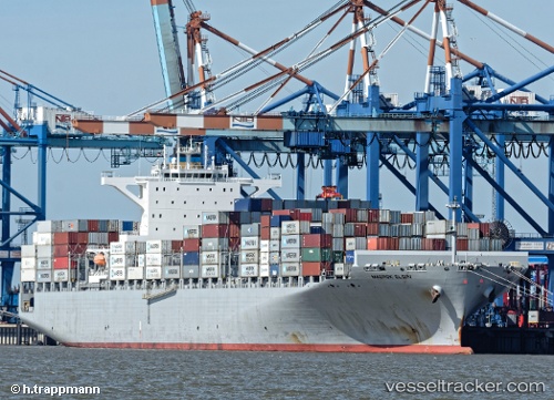 vessel Amoliani IMO: 9635640, Container Ship
