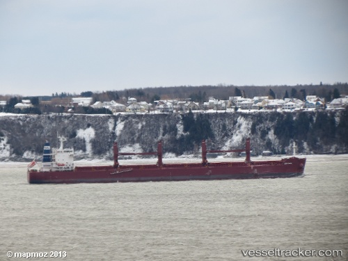 vessel Arcadia IMO: 9635999, Bulk Carrier
