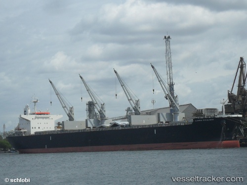 vessel African Lion IMO: 9636450, Bulk Carrier

