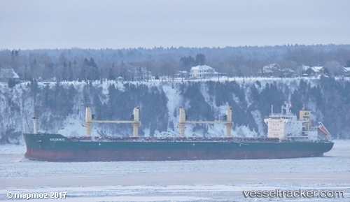 vessel Goldeneye IMO: 9637131, Bulk Carrier
