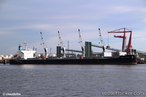 vessel Josco Jinzhou IMO: 9638484, Bulk Carrier
