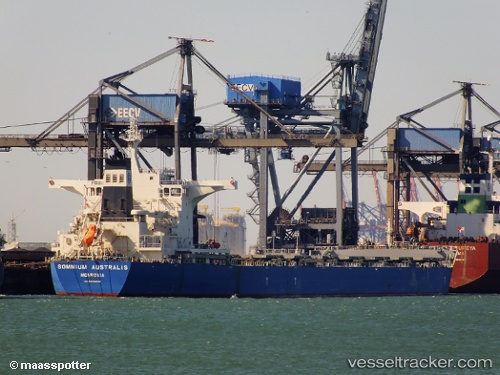 vessel Somnium Australis IMO: 9638886, Bulk Carrier
