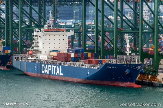 vessel SAFEEN PIONEER IMO: 9640994, Container Ship