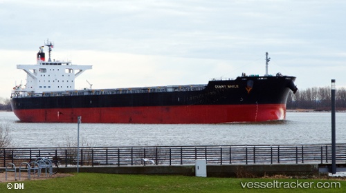 vessel Sunny Smile IMO: 9641857, Bulk Carrier
