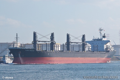 vessel Global Innovator IMO: 9641912, Bulk Carrier
