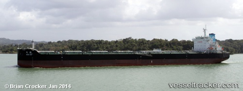 vessel Wen De IMO: 9642772, Bulk Carrier
